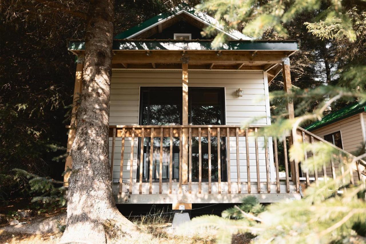 Cabin 3 Lynn View Lodge Haines Eksteriør bilde