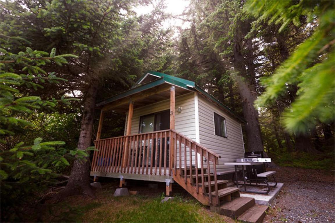 Cabin 3 Lynn View Lodge Haines Eksteriør bilde